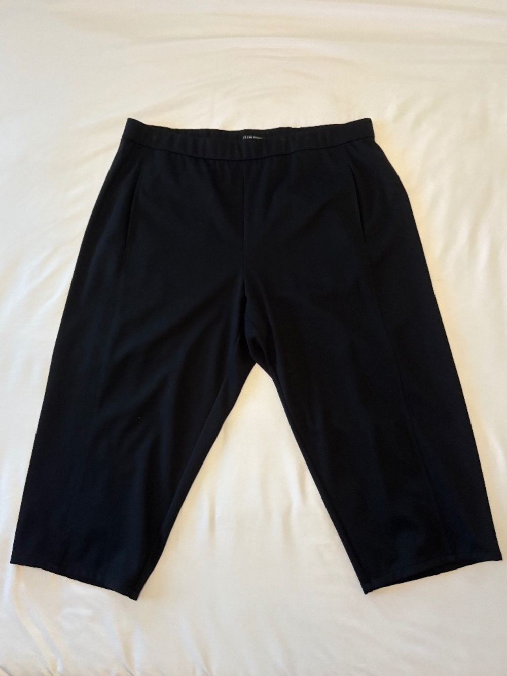 Eileen Fisher Women’s Black Elastic Band Pants Size 1X